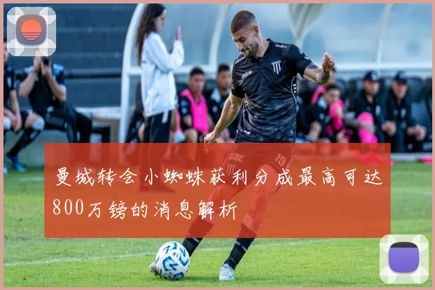 曼城转会小蜘蛛获利分成最高可达800万镑的消息解析