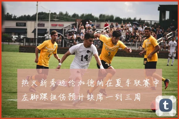 热火新秀迈伦加德纳在夏季联赛中左脚踝扭伤预计缺席一到三周